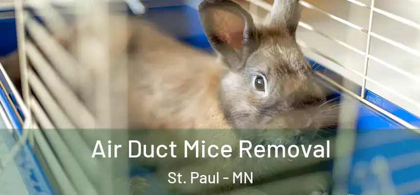 Air Duct Mice Removal St. Paul - MN