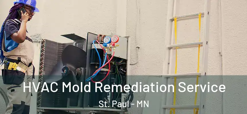 HVAC Mold Remediation Service St. Paul - MN