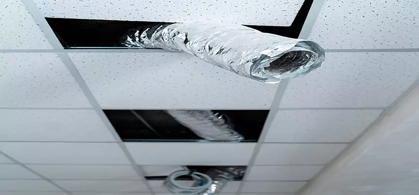 Affordable HVAC Sanitizing After Pest Removal in St. Paul