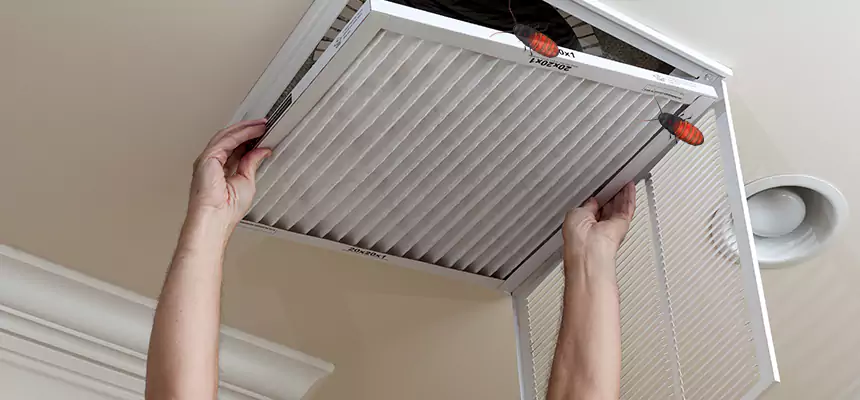 Our Insect Removal from Air Ducts Services in St. Paul, MN