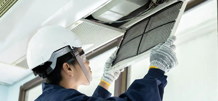 Our Lint Trap Cleaning Service Services in St. Paul, MN