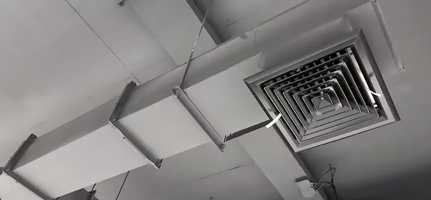 Our Rodent Droppings In Vents Services in St. Paul, MN