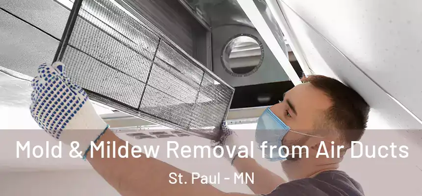 Mold & Mildew Removal from Air Ducts St. Paul - MN