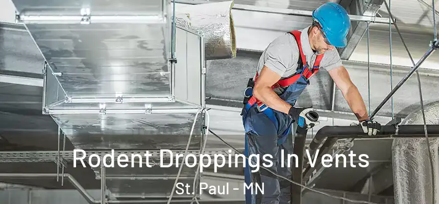 Rodent Droppings In Vents St. Paul - MN
