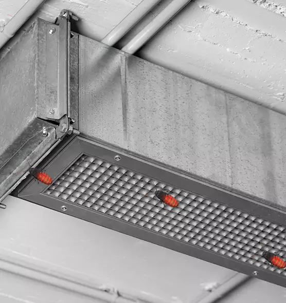 About Air Duct Cockroach Removal in St. Paul, MN