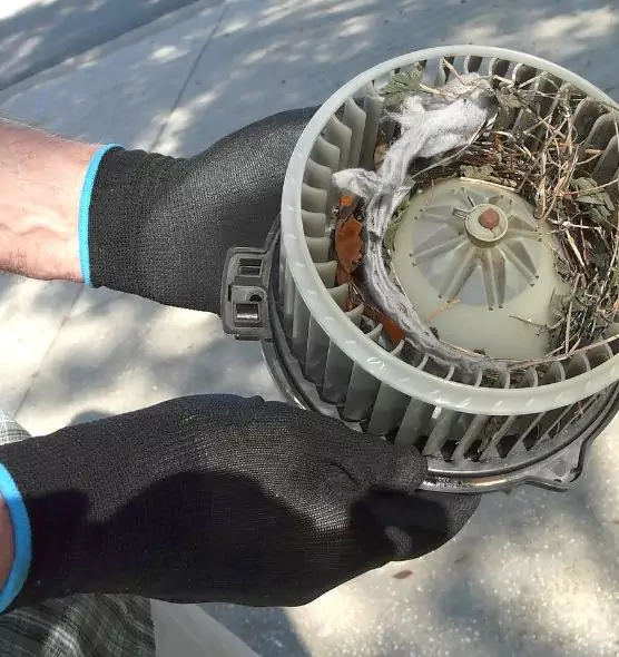 About Air Duct Rat Removal in St. Paul, MN