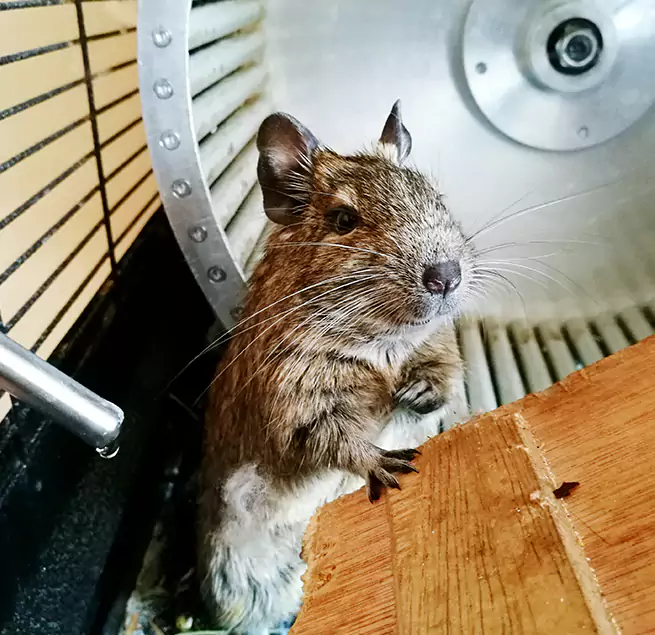 Why Homeowners & Businesses Trust Us St. Paul, MN