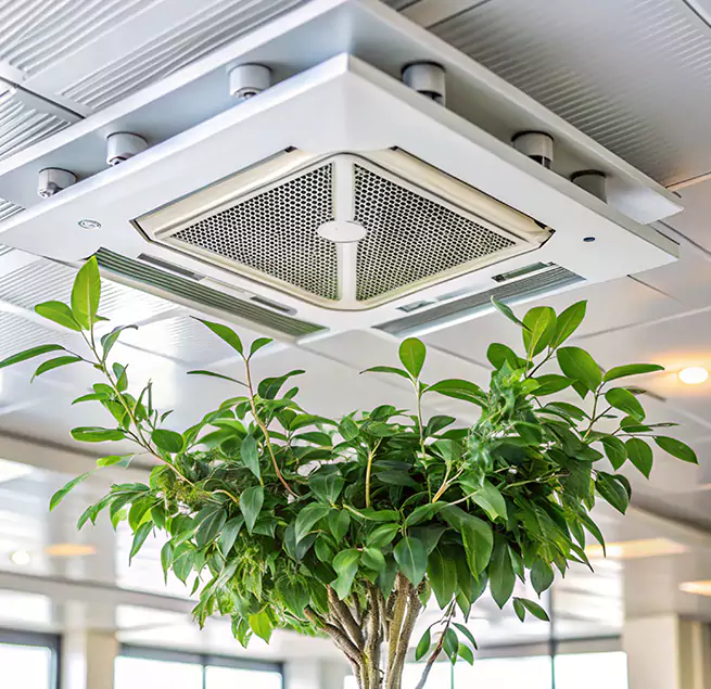 Why Homeowners & Businesses Trust Us in St. Paul, MN?