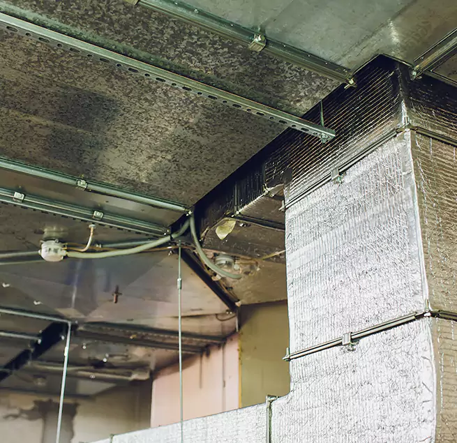 Why Homeowners & Businesses Trust Us in St. Paul, MN?